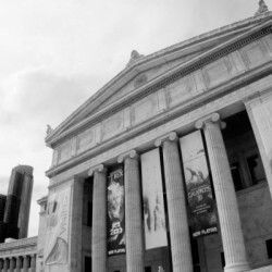 field museum chicago