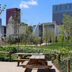 Maggie Daley Park Corporate Company Picnic