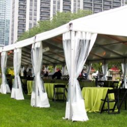 Maggie Daley Park Corporate Picnic Grounds Chicago