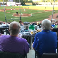 kane county cougars seating bowl